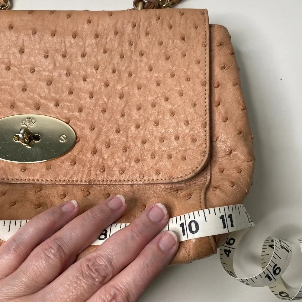 Mulberry Lily Medium Exotic Ostrich Leather Chain Crossbody‎ Shoulder Bag Rare!